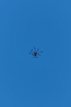 Bild 403 - BL Club an der Alster - TEC Waldau Stuttgart : Ergebnis: 5:4